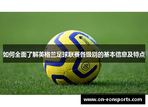 如何全面了解英格兰足球联赛各级别的基本信息及特点
