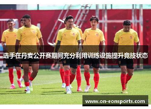 选手在丹麦公开赛期间充分利用训练设施提升竞技状态 选手在丹麦公开赛期间充分利用训练设施提升竞技状态