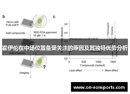 霍伊伦在中场位置备受关注的原因及其独特优势分析